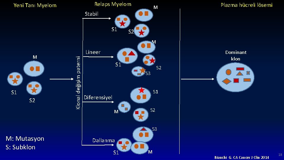 Relaps Myelom Yeni Tanı Myelom M Stabil S 1 Plazma hücreli lösemi S 2