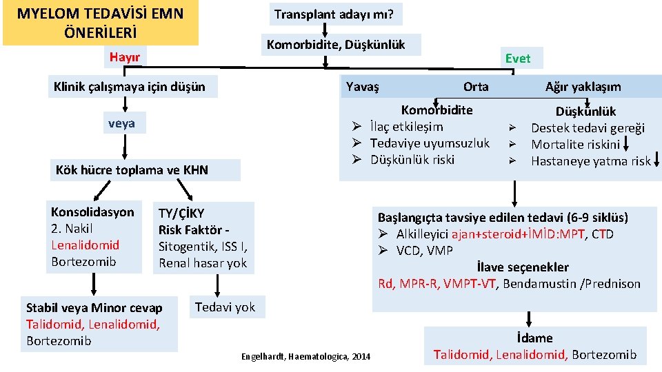 MYELOM TEDAVİSİ EMN ÖNERİLERİ Transplant adayı mı? Komorbidite, Düşkünlük Hayır Yavaş Klinik çalışmaya için