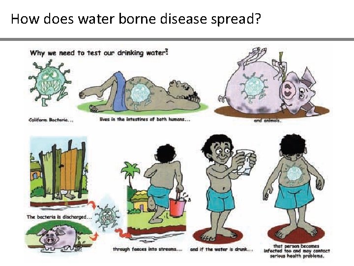 How does water borne disease spread? 
