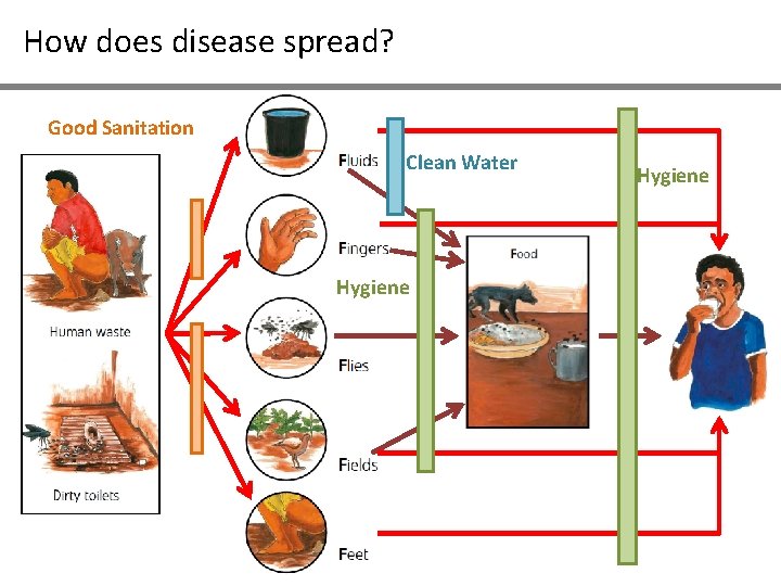 How does disease spread? Good Sanitation Clean Water Hygiene 