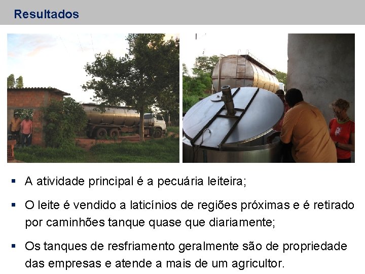 Resultados A atividade principal é a pecuária leiteira; O leite é vendido a laticínios
