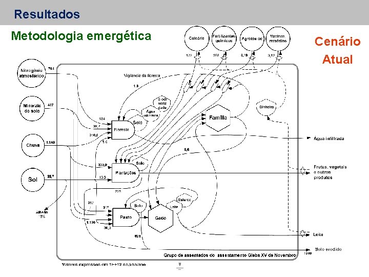 Resultados Metodologia emergética Cenário Atual 