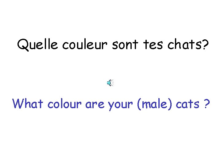 Quelle couleur sont tes chats? What colour are your (male) cats ? 