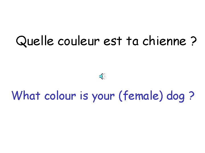 Quelle couleur est ta chienne ? What colour is your (female) dog ? 