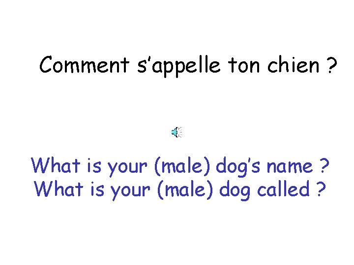 Comment s’appelle ton chien ? What is your (male) dog’s name ? What is