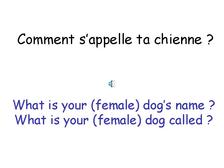 Comment s’appelle ta chienne ? What is your (female) dog’s name ? What is