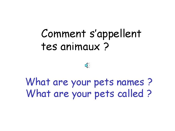 Comment s’appellent tes animaux ? What are your pets names ? What are your