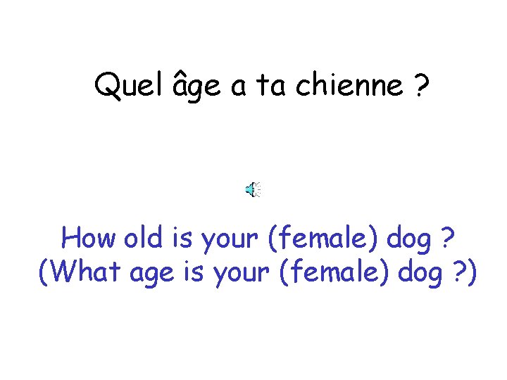 Quel âge a ta chienne ? How old is your (female) dog ? (What