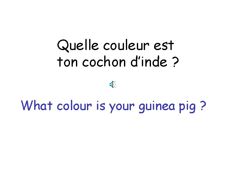 Quelle couleur est ton cochon d’inde ? What colour is your guinea pig ?