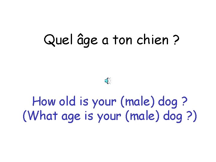 Quel âge a ton chien ? How old is your (male) dog ? (What