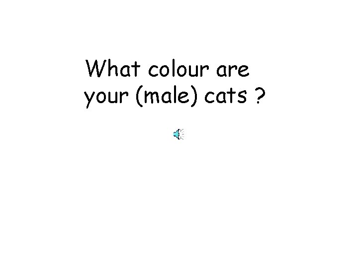 What colour are your (male) cats ? 