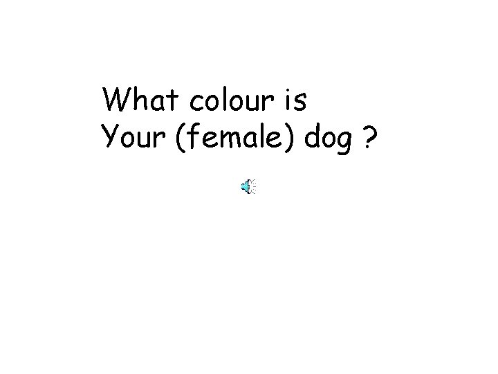 What colour is Your (female) dog ? 