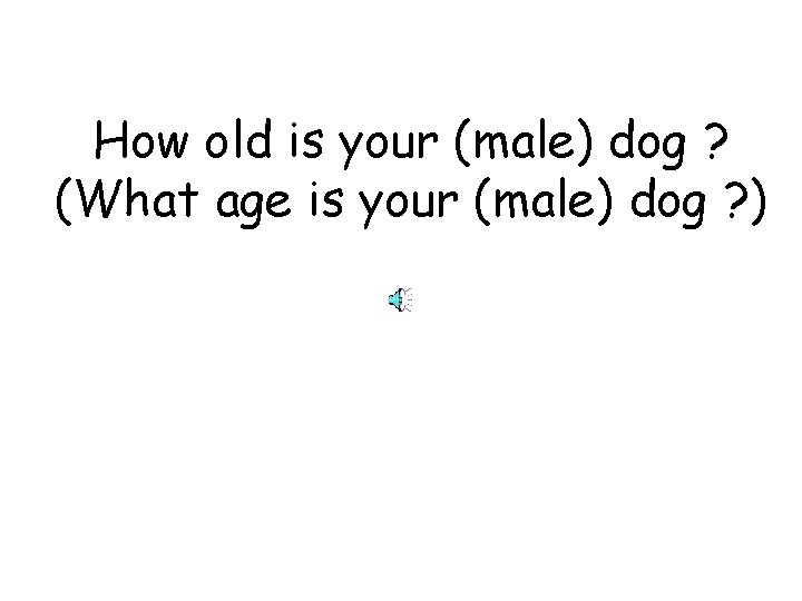 How old is your (male) dog ? (What age is your (male) dog ?