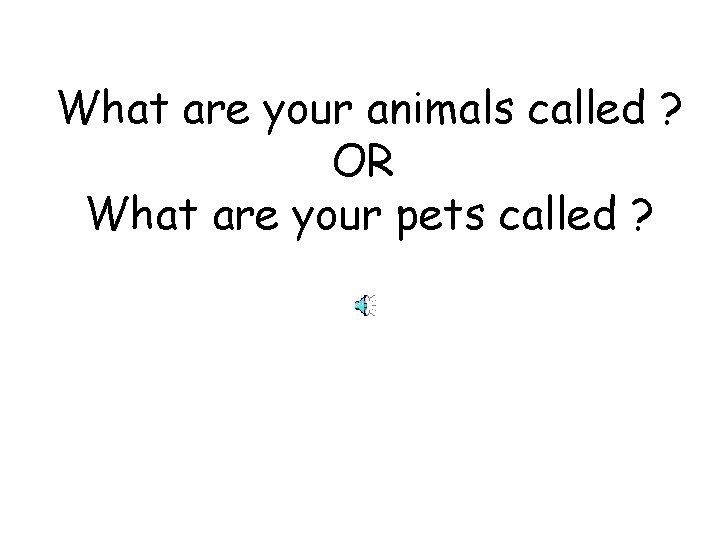 What are your animals called ? OR What are your pets called ? 