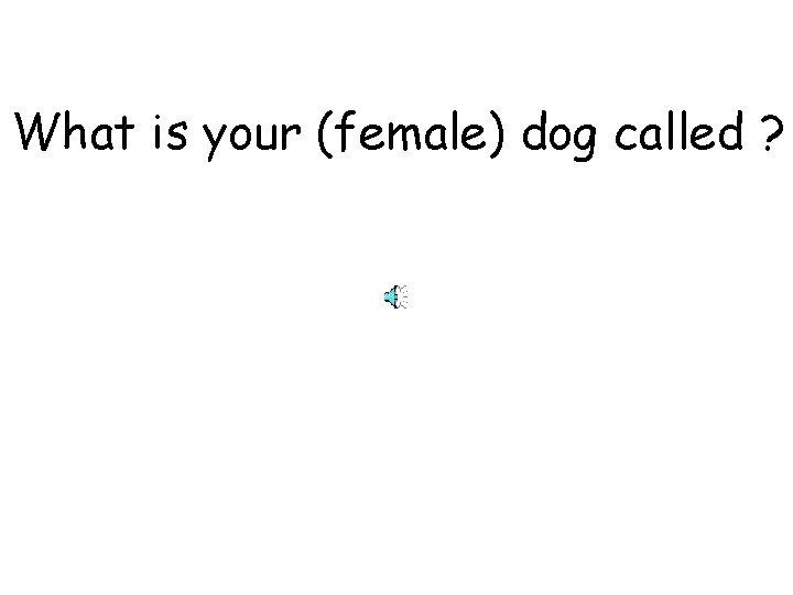 What is your (female) dog called ? 