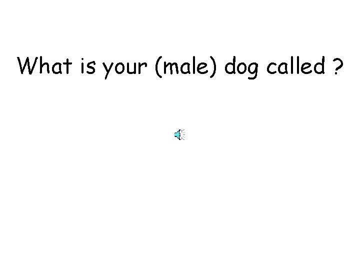 What is your (male) dog called ? 