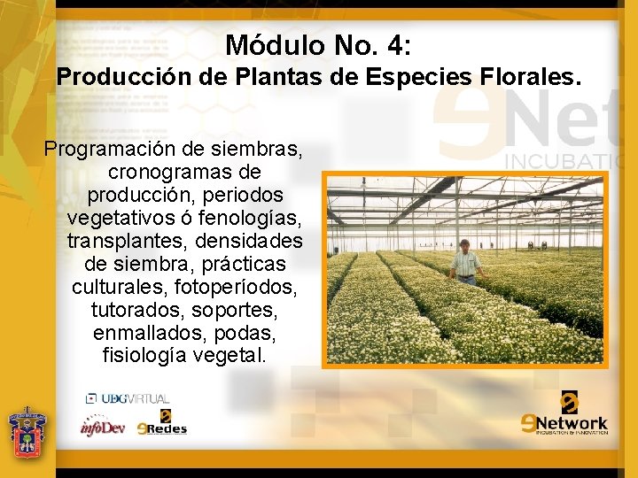 Módulo No. 4: Producción de Plantas de Especies Florales. Programación de siembras, cronogramas de