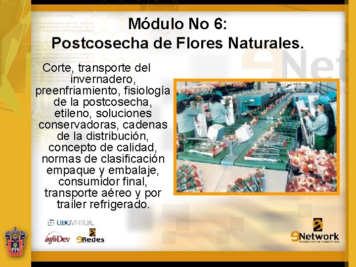 Módulo No 6: Postcosecha de Flores Naturales. Corte, transporte del invernadero, preenfriamiento, fisiología de