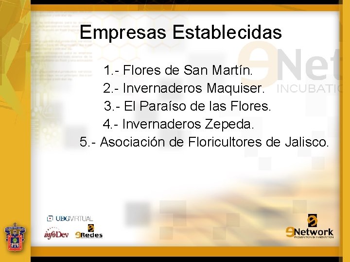 Empresas Establecidas 1. - Flores de San Martín. 2. - Invernaderos Maquiser. 3. -