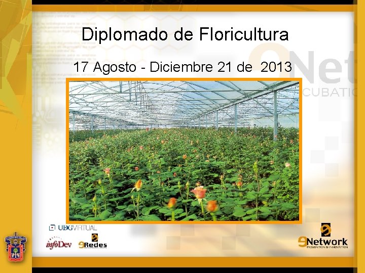 Diplomado de Floricultura 17 Agosto - Diciembre 21 de 2013 