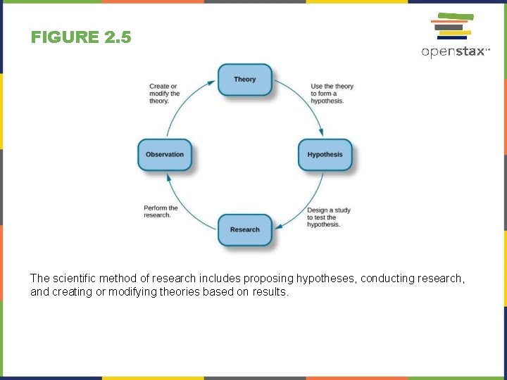 FIGURE 2. 5 The scientific method of research includes proposing hypotheses, conducting research, and