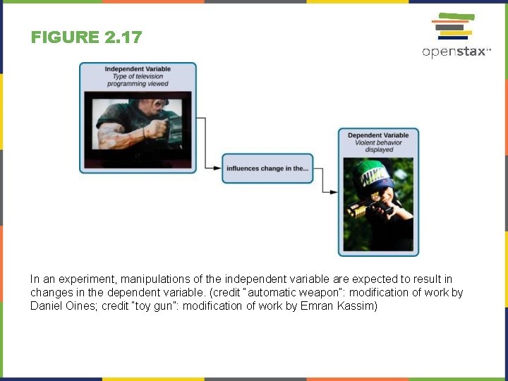 FIGURE 2. 17 In an experiment, manipulations of the independent variable are expected to