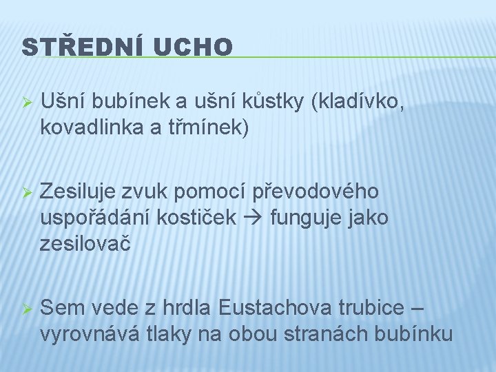 STŘEDNÍ UCHO Ø Ušní bubínek a ušní kůstky (kladívko, kovadlinka a třmínek) Ø Zesiluje