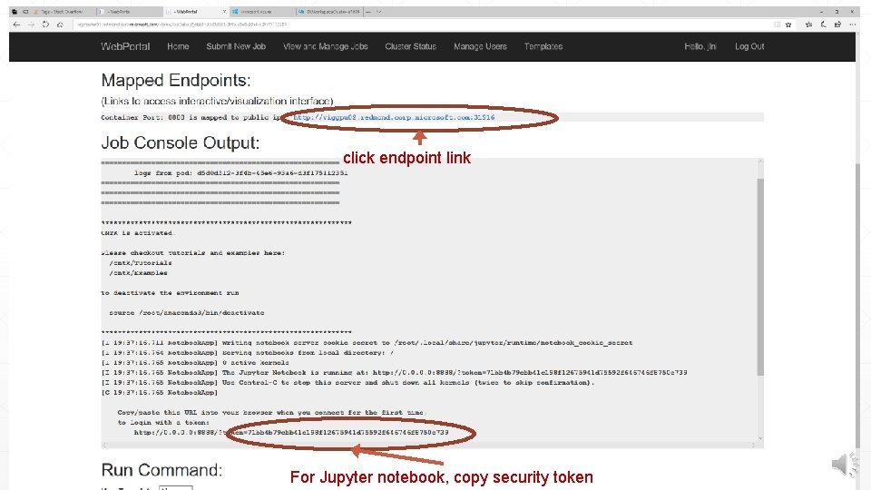 click endpoint link For Jupyter notebook, copy security token 