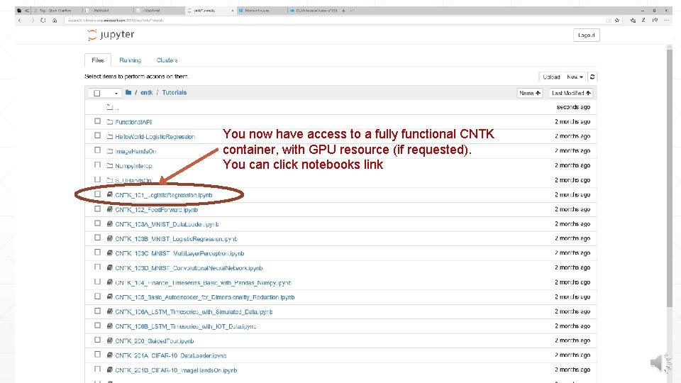 You now have access to a fully functional CNTK container, with GPU resource (if