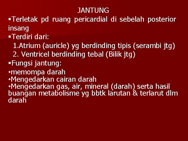 JANTUNG §Terletak pd ruang pericardial di sebelah posterior insang §Terdiri dari: 1. Atrium (auricle)