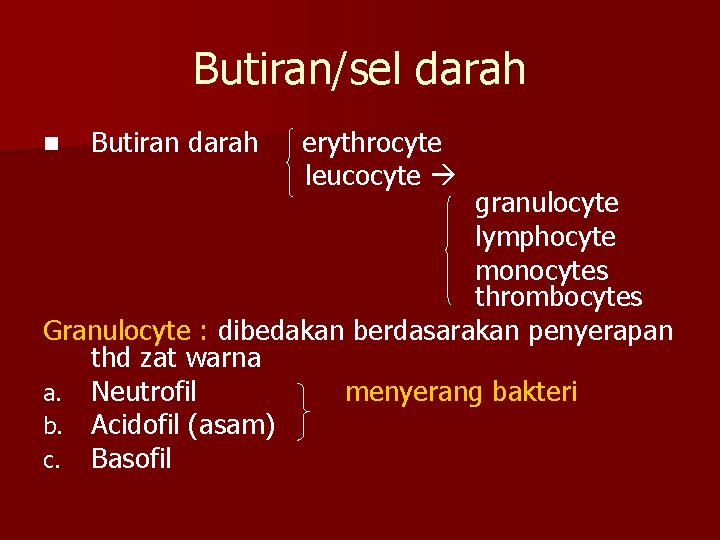 Butiran/sel darah n Butiran darah erythrocyte leucocyte granulocyte lymphocyte monocytes thrombocytes Granulocyte : dibedakan