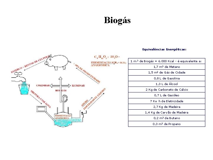 Biogás Equivalências Energéticas: 1 m 3 de Biogás = 6. 000 Kcal - é