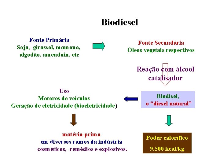 Biodiesel Fonte Primária Soja, girassol, mamona, algodão, amendoin, etc Fonte Secundária Óleos vegetais respectivos