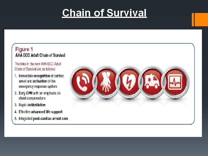 Chain of Survival 