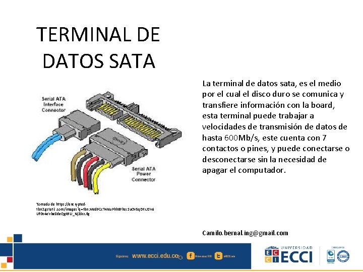 TERMINAL DE DATOS SATA La terminal de datos sata, es el medio por el