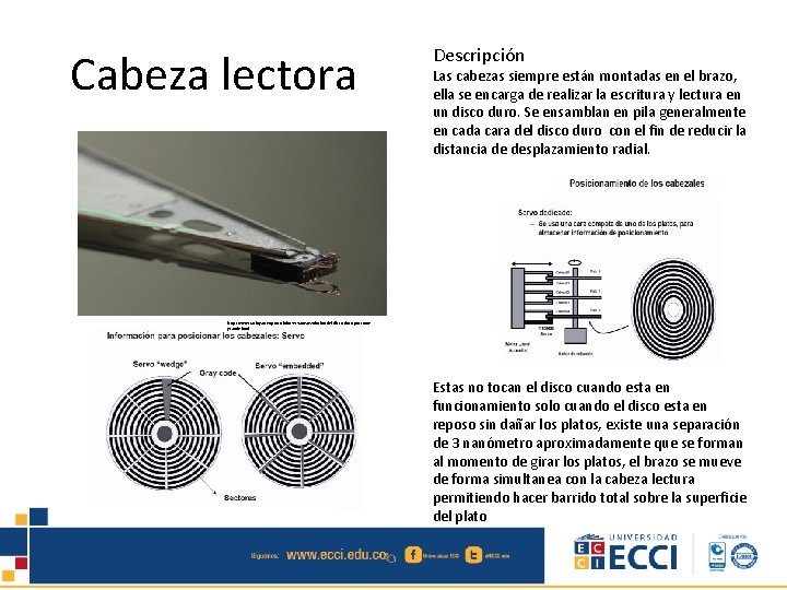 Cabeza lectora Descripción Las cabezas siempre están montadas en el brazo, ella se encarga