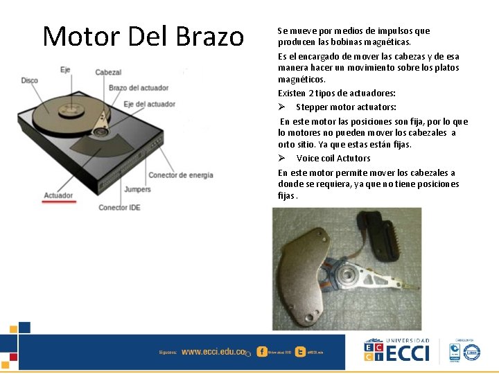 Motor Del Brazo Se mueve por medios de impulsos que producen las bobinas magnéticas.