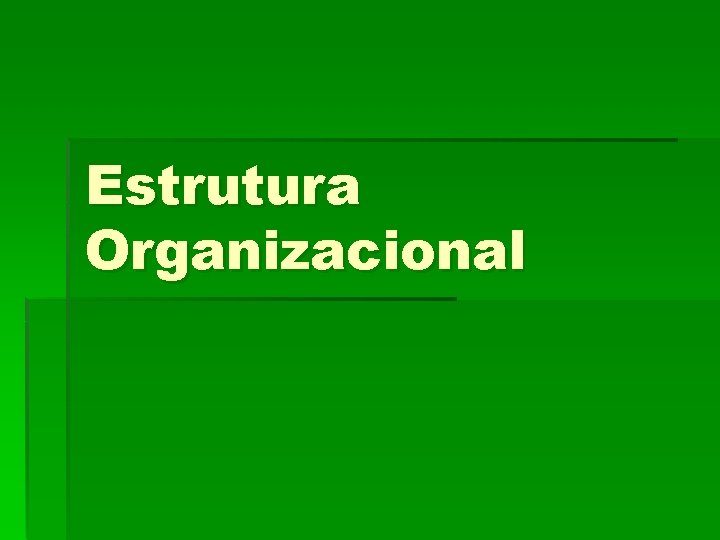 Estrutura Organizacional 