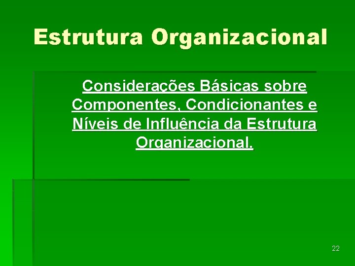 Estrutura Organizacional Considerações Básicas sobre Componentes, Condicionantes e Níveis de Influência da Estrutura Organizacional.