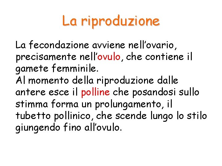 La riproduzione La fecondazione avviene nell’ovario, precisamente nell’ovulo, che contiene il gamete femminile. Al La riproduzione La fecondazione avviene nell’ovario, precisamente nell’ovulo, che contiene il gamete femminile. Al