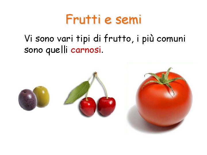 Frutti e semi Vi sono vari tipi di frutto, i più comuni sono quelli Frutti e semi Vi sono vari tipi di frutto, i più comuni sono quelli
