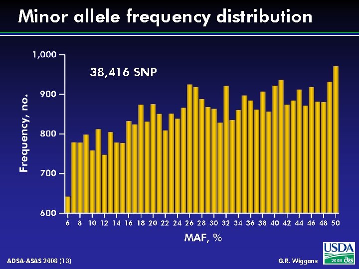 Minor allele frequency distribution 38, 416 SNP ADSA-ASAS 2008 (13) G. R. Wiggans 2008