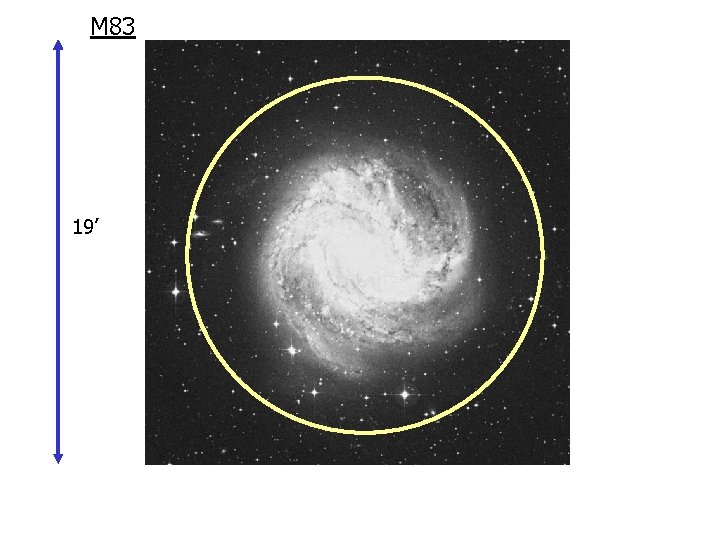 M 83 19’ 