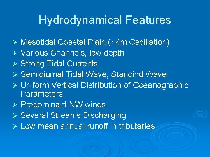 Hydrodynamical Features Mesotidal Coastal Plain (~4 m Oscillation) Ø Various Channels, low depth Ø Hydrodynamical Features Mesotidal Coastal Plain (~4 m Oscillation) Ø Various Channels, low depth Ø