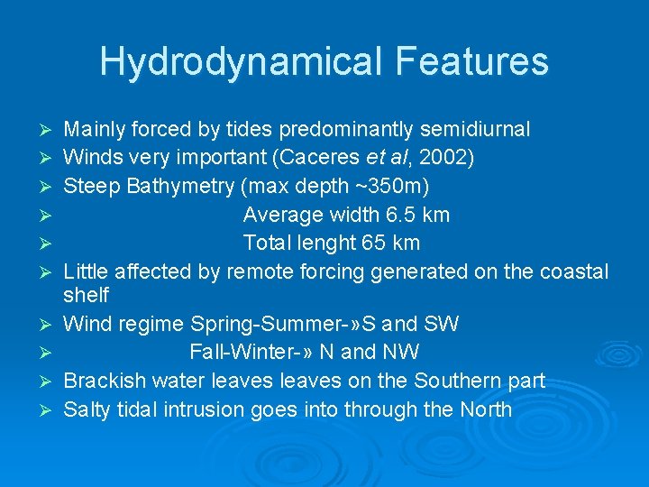 Hydrodynamical Features Ø Ø Ø Ø Ø Mainly forced by tides predominantly semidiurnal Winds Hydrodynamical Features Ø Ø Ø Ø Ø Mainly forced by tides predominantly semidiurnal Winds