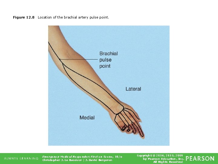 Figure 12. 8 Location of the brachial artery pulse point. Emergency Medical Responder: First