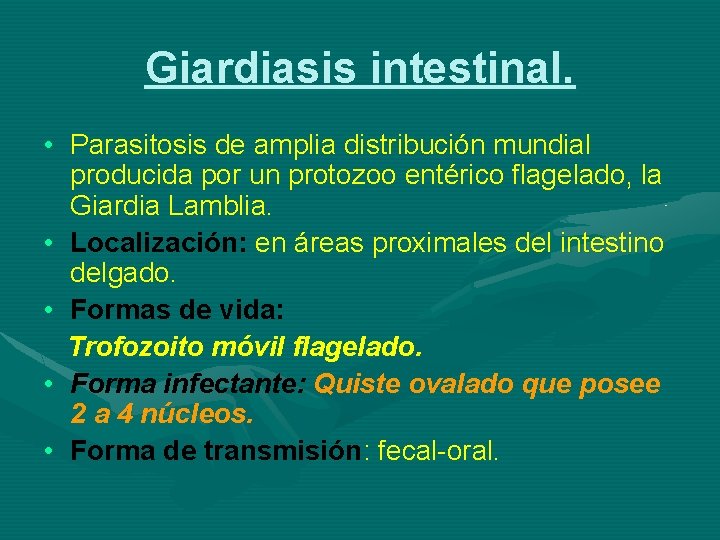 Giardiasis intestinal. • Parasitosis de amplia distribución mundial producida por un protozoo entérico flagelado,