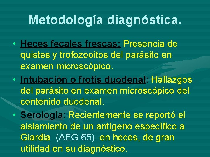 Metodología diagnóstica. • Heces fecales frescas: Presencia de quistes y trofozooitos del parásito en