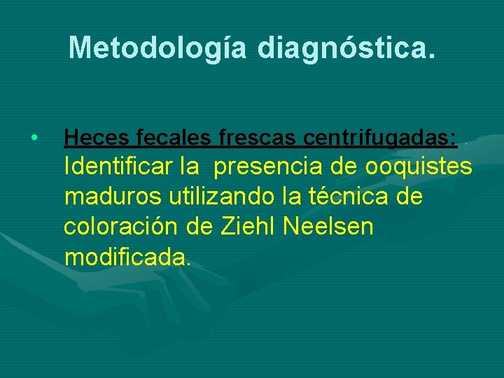 Metodología diagnóstica. • Heces fecales frescas centrifugadas: Identificar la presencia de ooquistes maduros utilizando