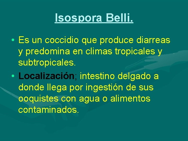 Isospora Belli. • Es un coccidio que produce diarreas y predomina en climas tropicales